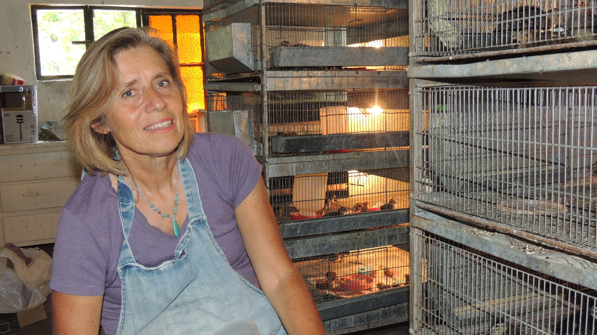 Joco Estampa #9: Los Romero Wagner