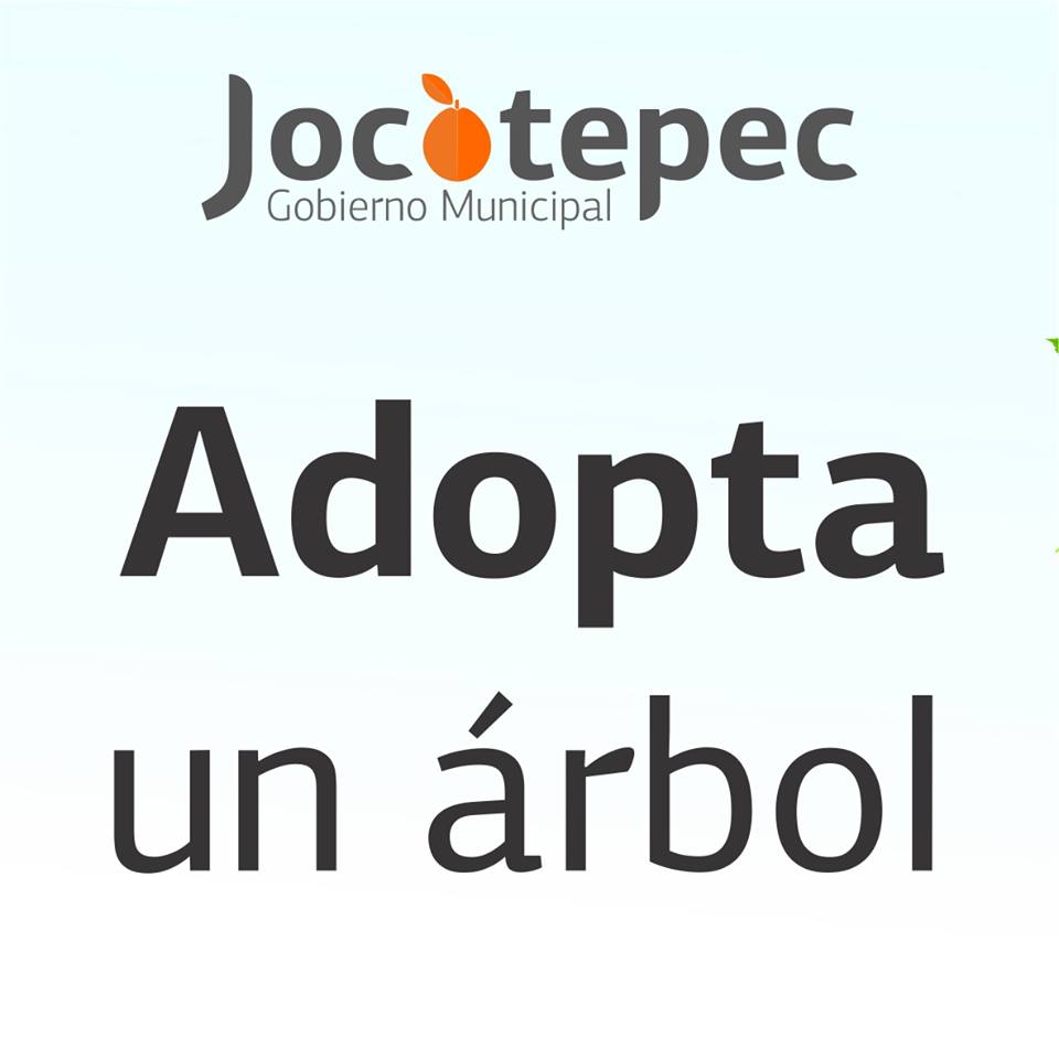 ADOPTA UN ARBOL