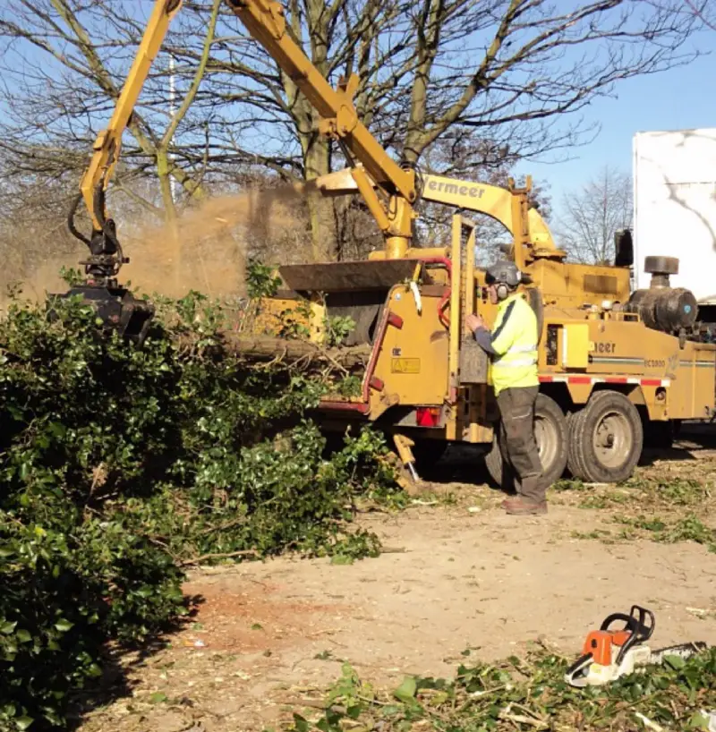 professional wood chipping services aldershot