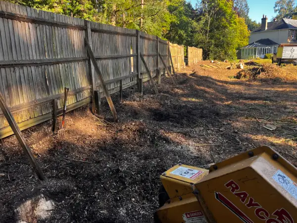 site clearance stump grinding woking surrey